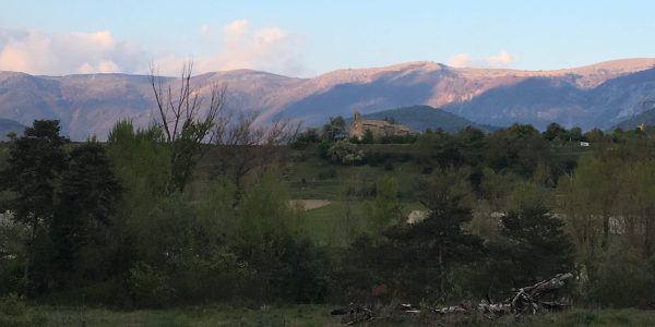 IMG_0660